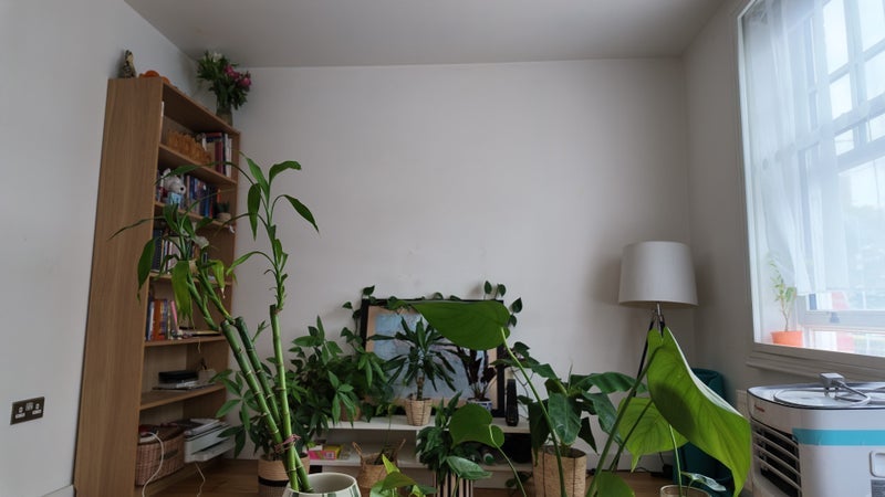 Room Woodville Gardens in Greater London