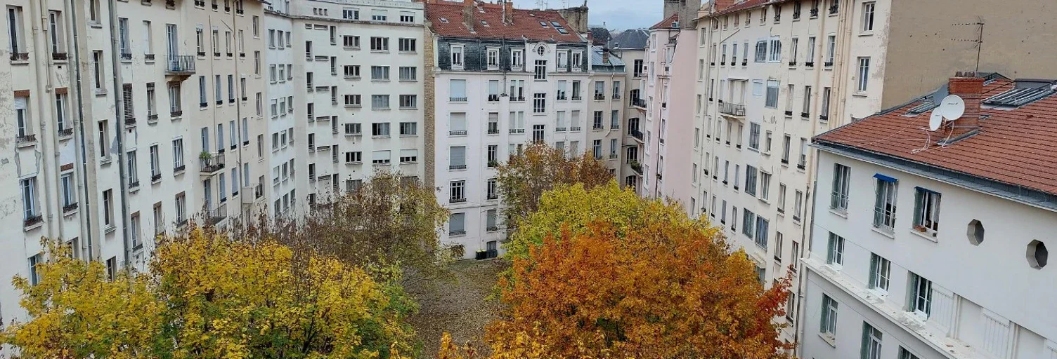 Flat Boulevard Anatole France in Lyon