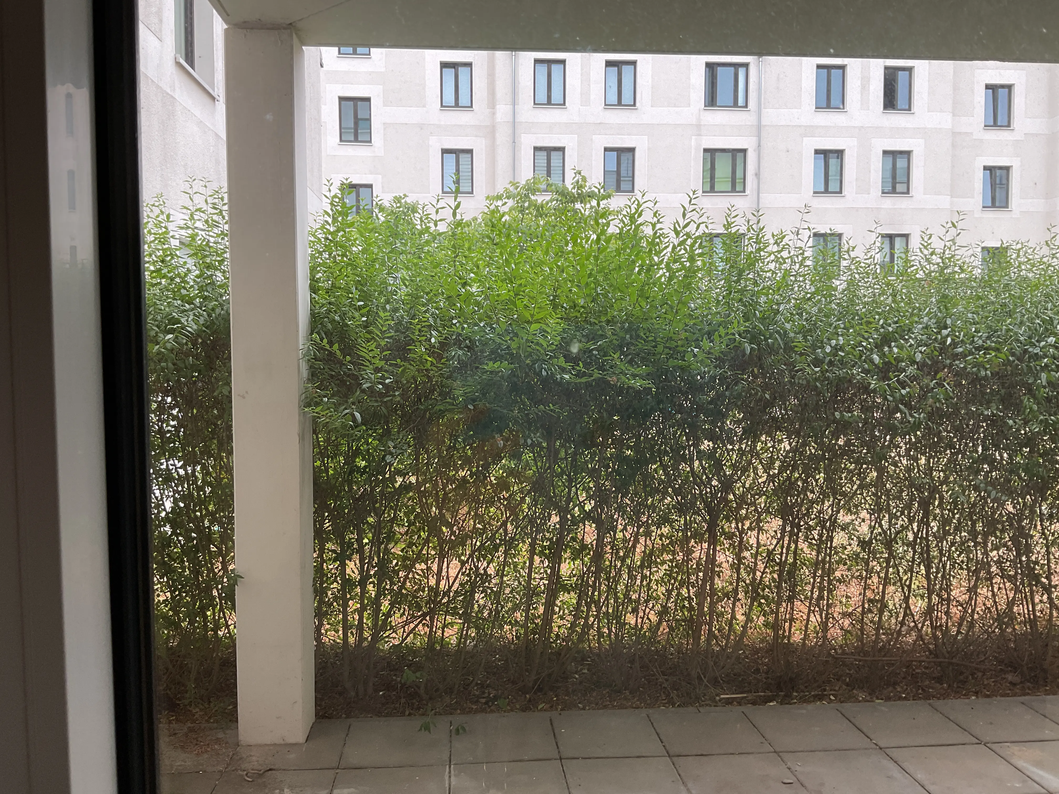 Wohnung Pepitapromenade in Berlin