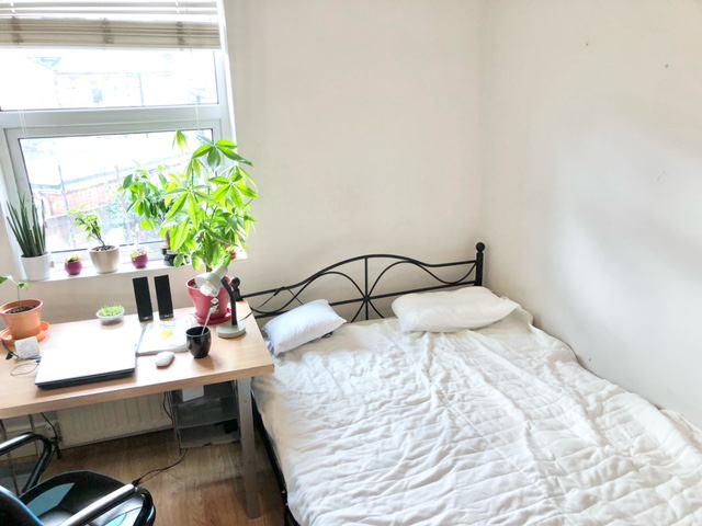 Room Argyle Road in Southampton