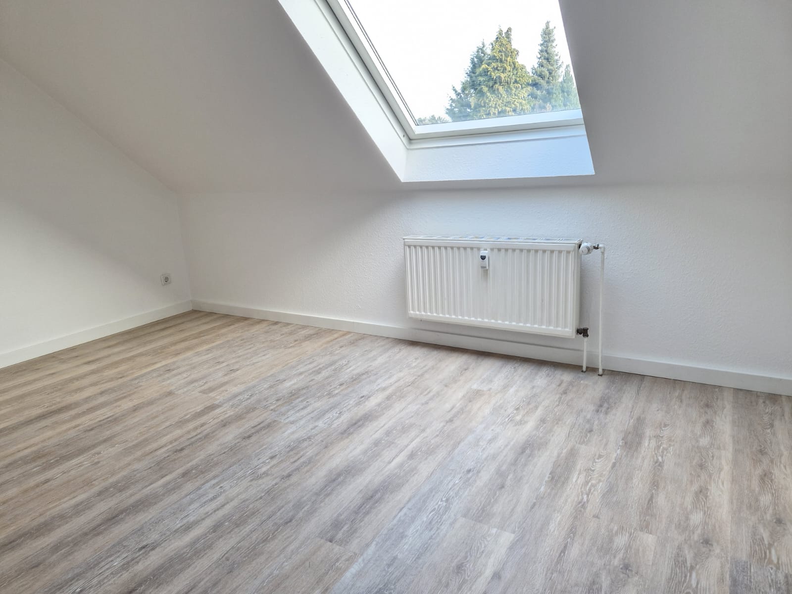 Wohnung Dammstraße in Bad Salzuflen
