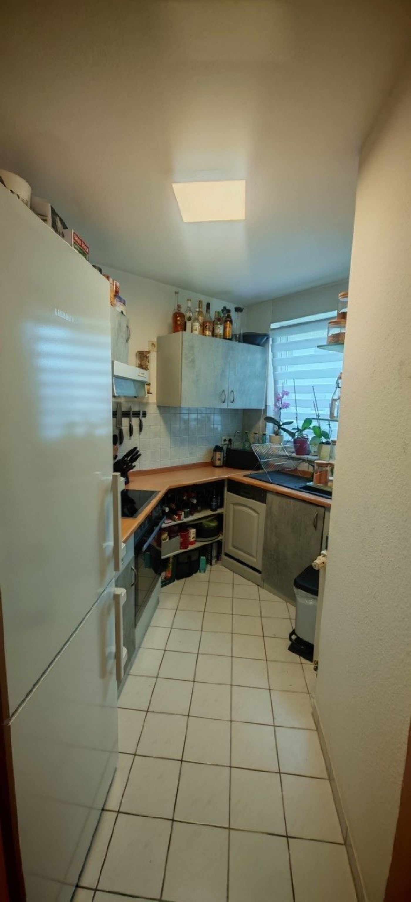 Wohnung Kipsdorfer Straße in Dresden