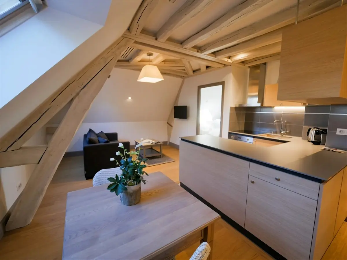 Flat Rue de Boisdenier in Tours