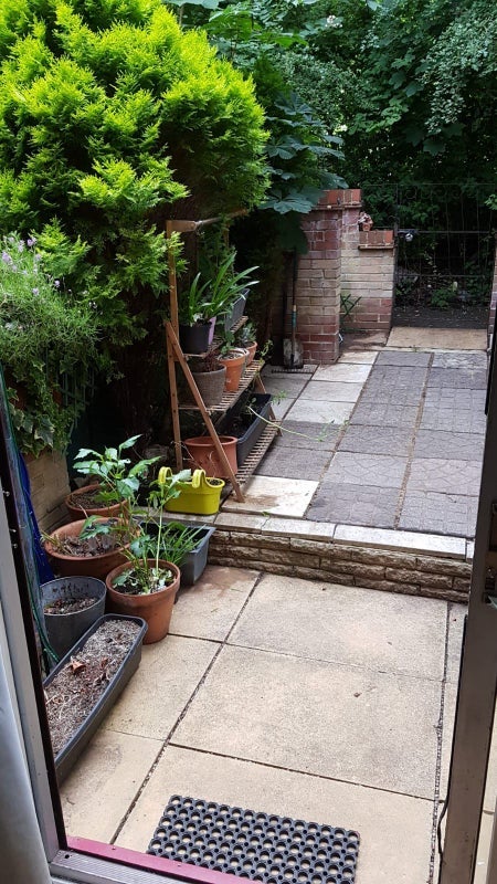 House Pincott Place in Greater London