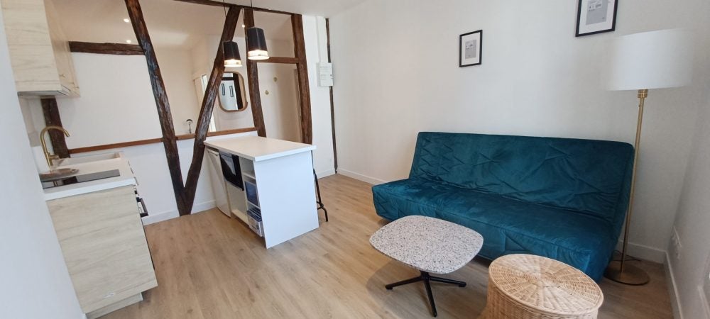 Appartement Rue du Chanoine Dalmas à Tours