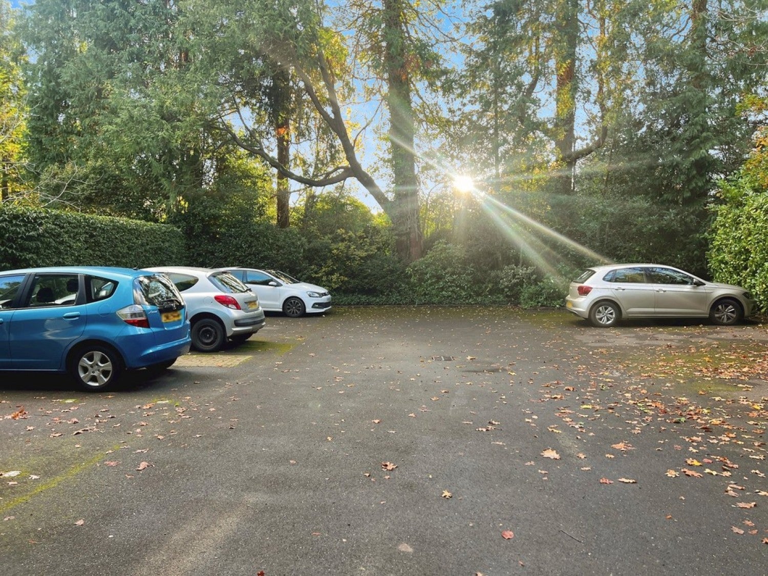 Flat Chestnut Court in Tunbridge Wells