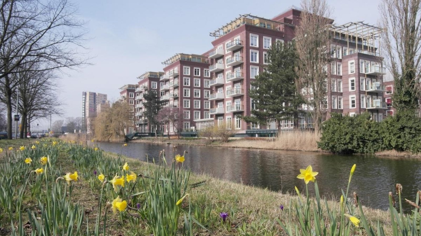 Appartement Molenwerf 10 B 8 in Amsterdam