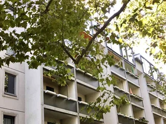 Wohnung Hauptstraße in Dresden