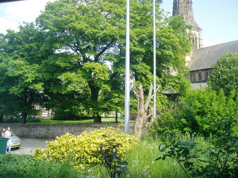 Flat Skinner Lane in Bradford