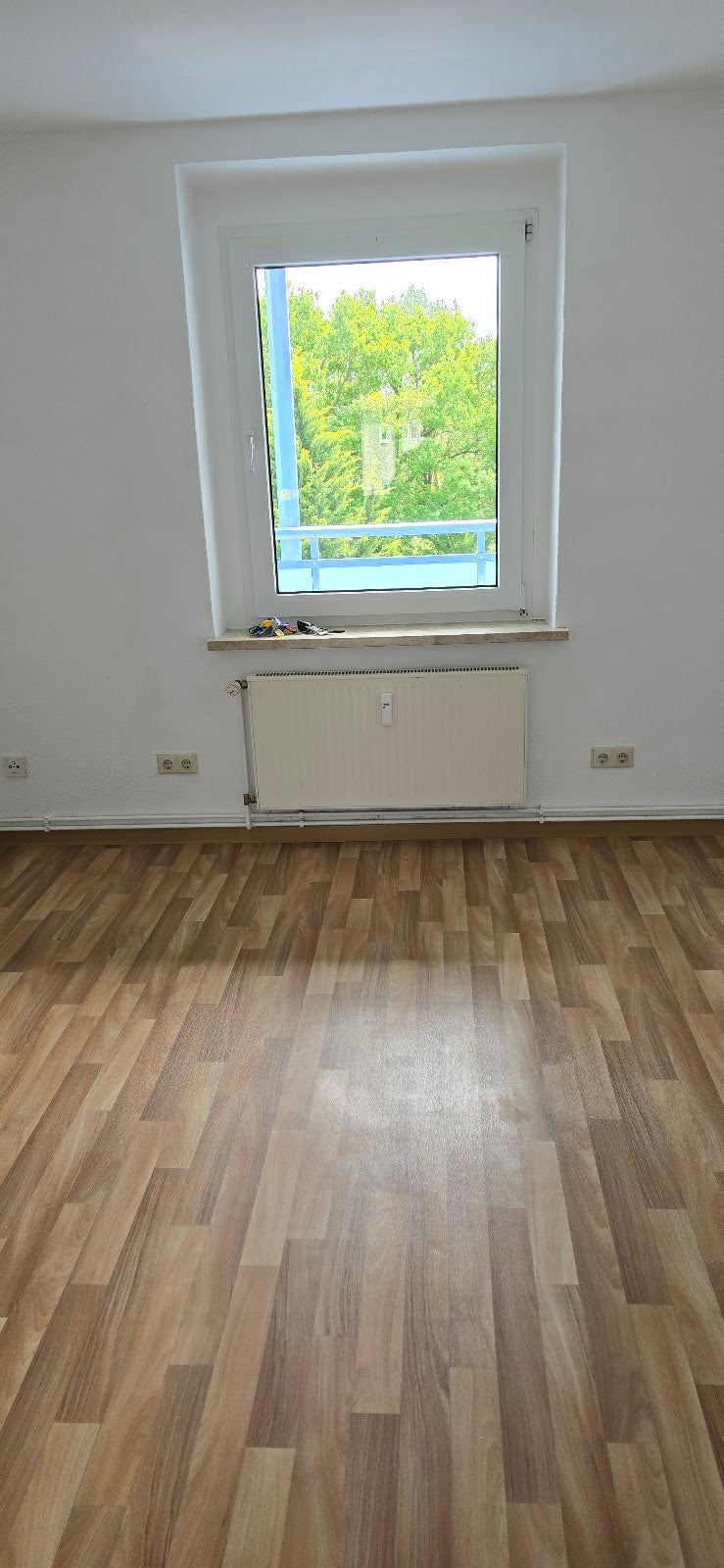Wohnung Am Elbufer in Wittenberg