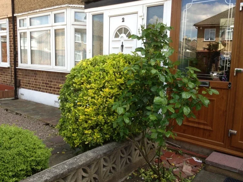 Room Rosemary Gardens in Greater London