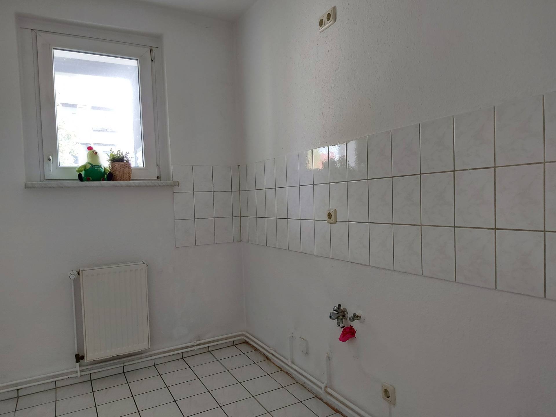Wohnung Moldenstraße in Magdeburg