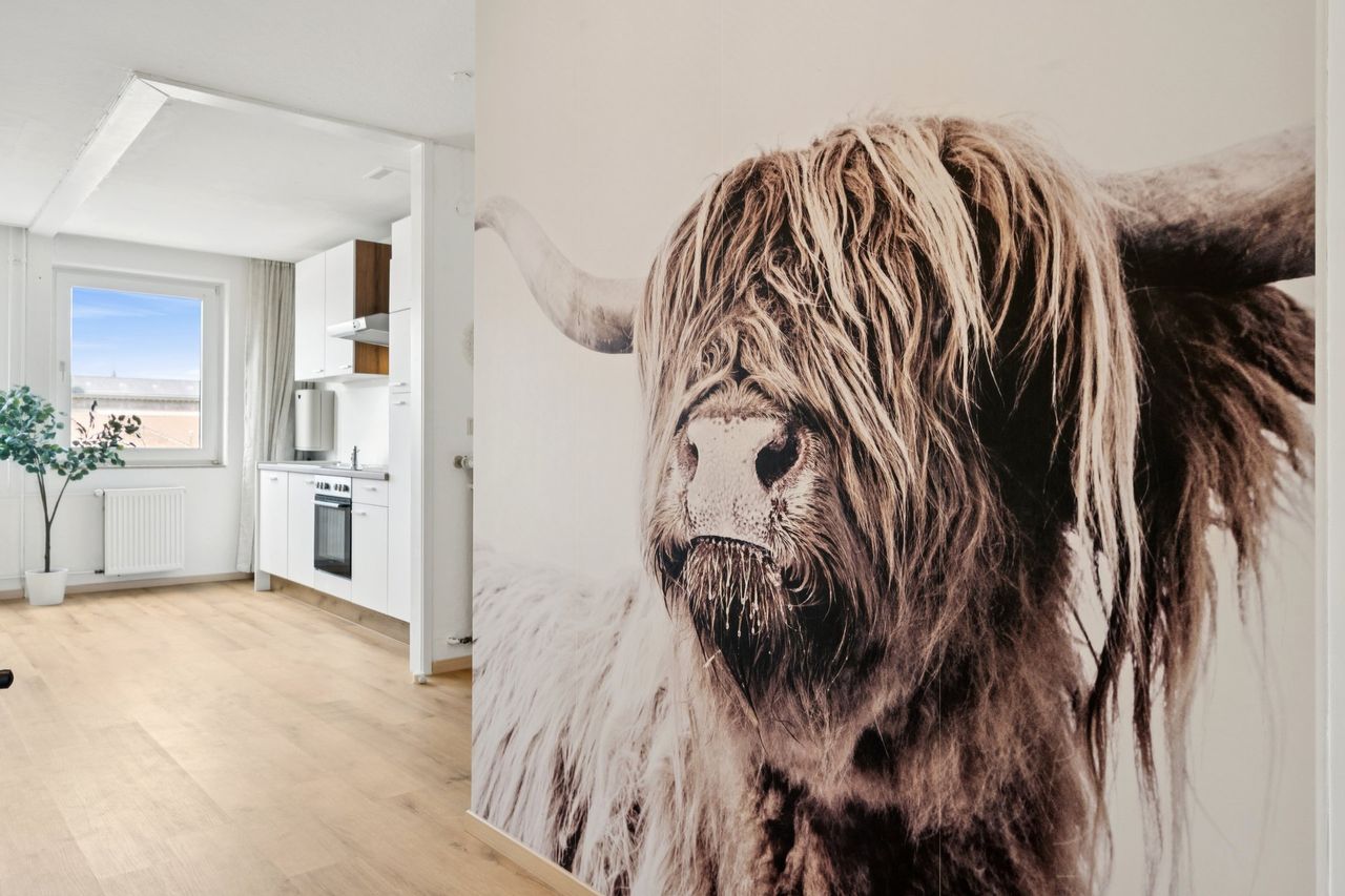 Wohnung Bohlweg in Braunschweig