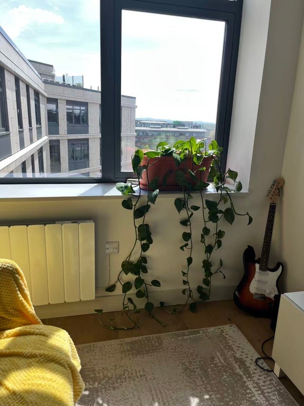 Flat Vesta Street in Manchester