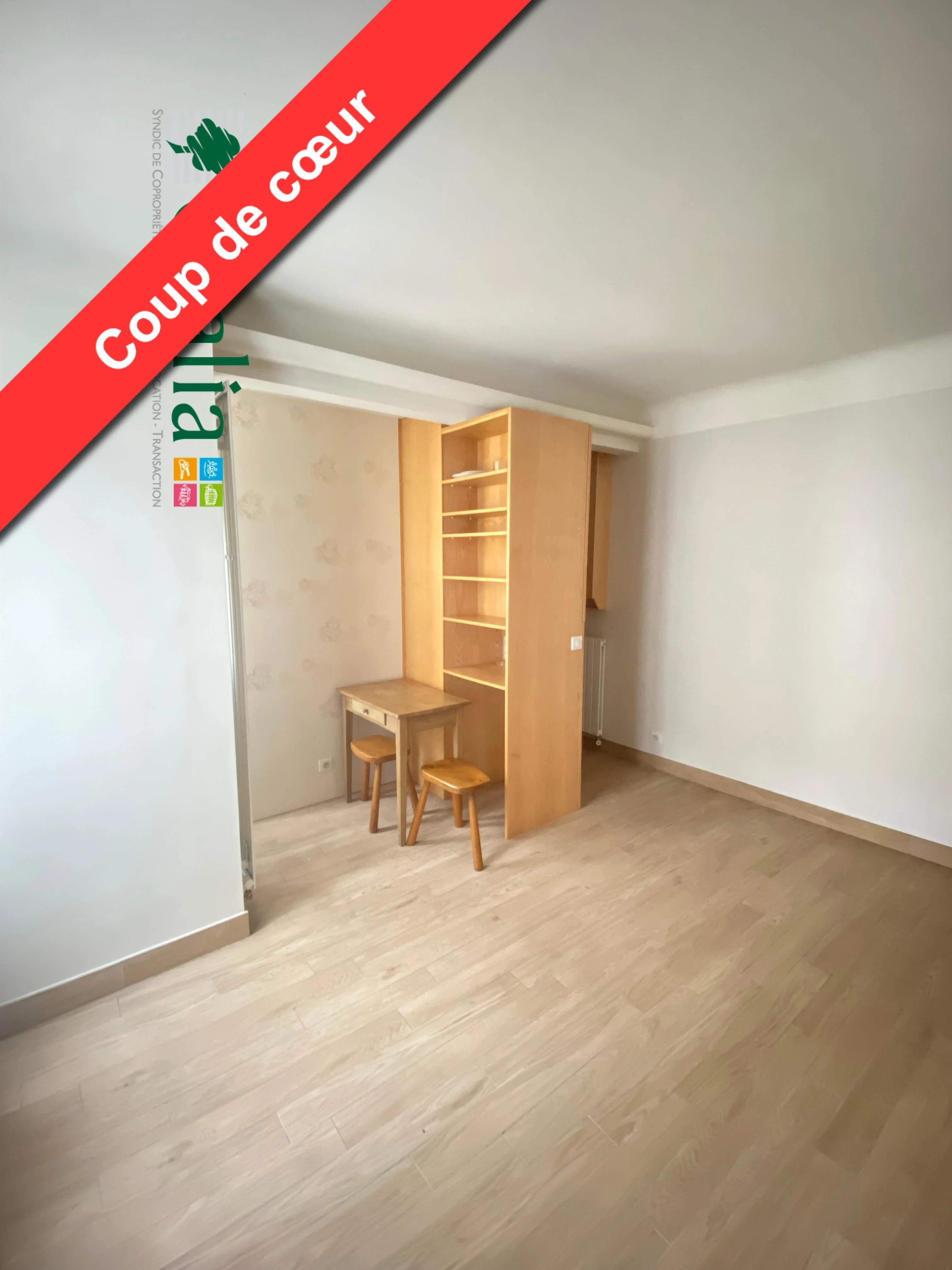 Flat Rue Pierre Leroux in Paris
