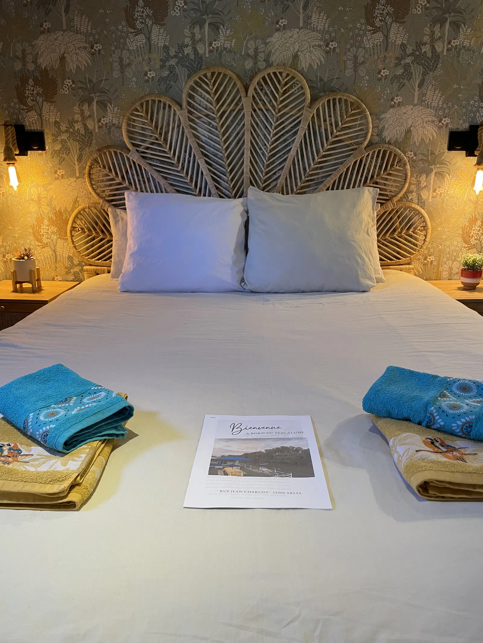 Chambre Via Rhôna à Arles