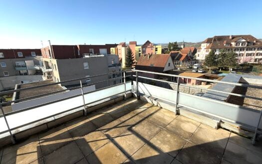 Appartement Parc de l'Étoile à Strasbourg