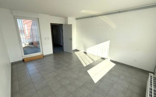 Appartement Parc de l'Étoile à Strasbourg