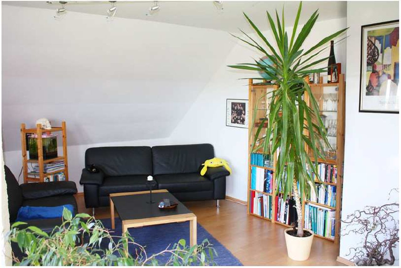 Wohnung Guckenbühl in Fernhag