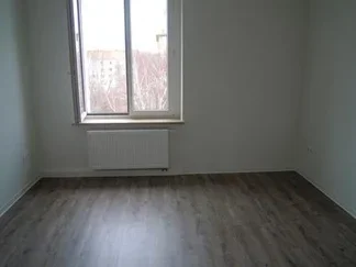 Wohnung Laubestraße in Dresden