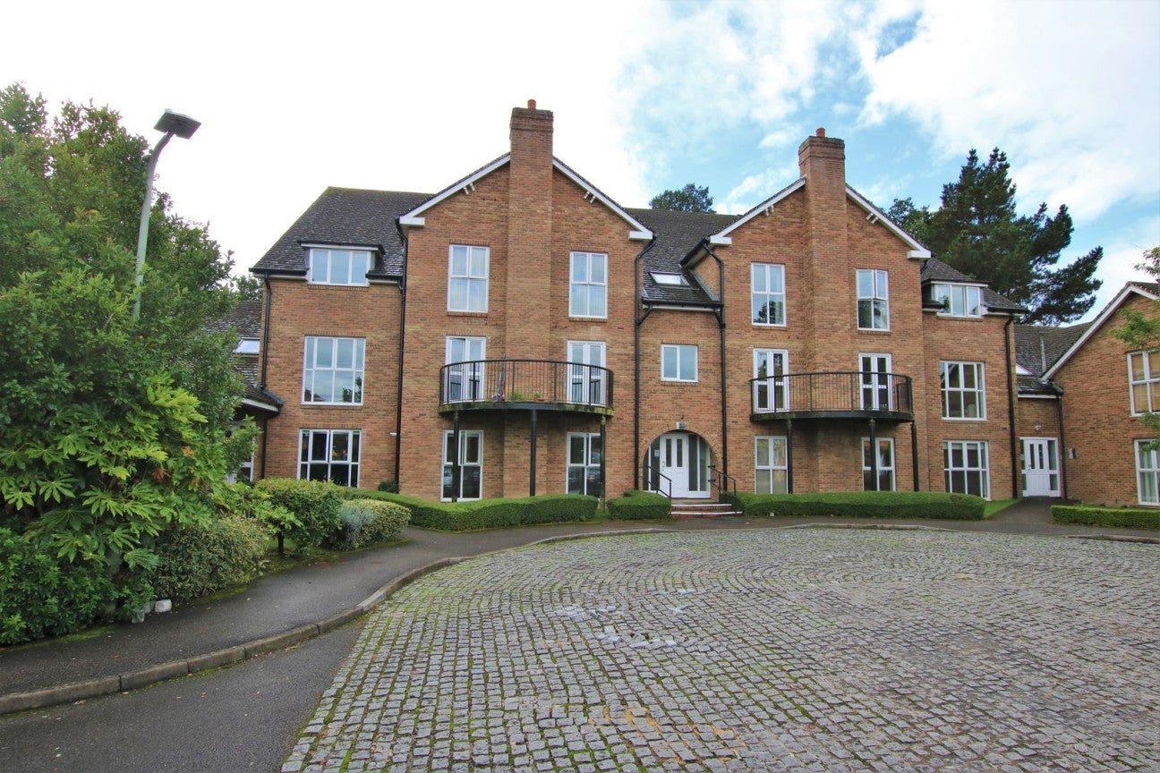 Flat Squirrel Walk in Wokingham