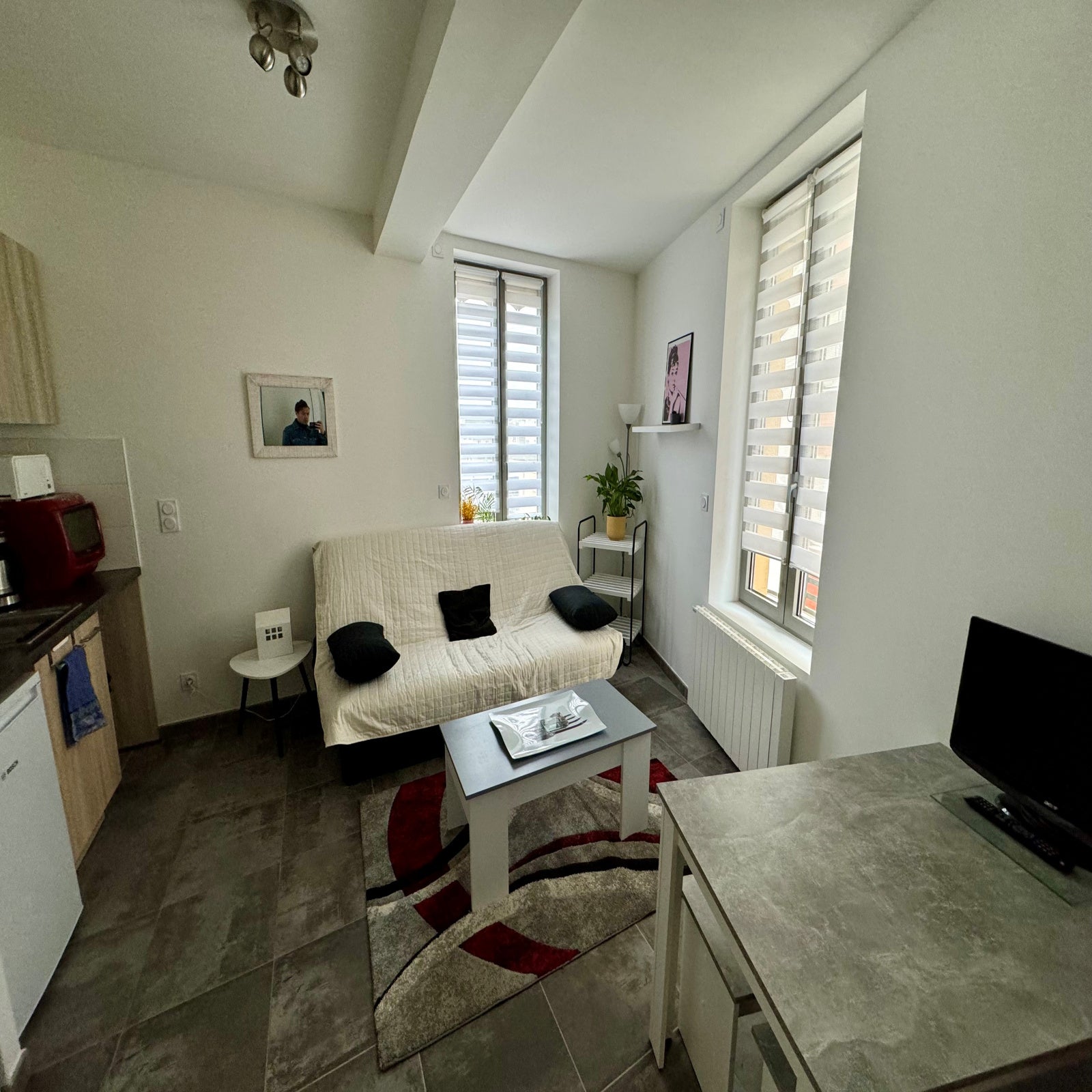 Flat Avenue Roger Salengro in Villeurbanne