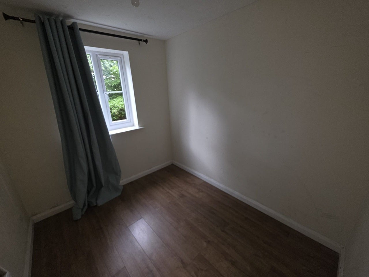 Flat Redwood Grove in Bedford
