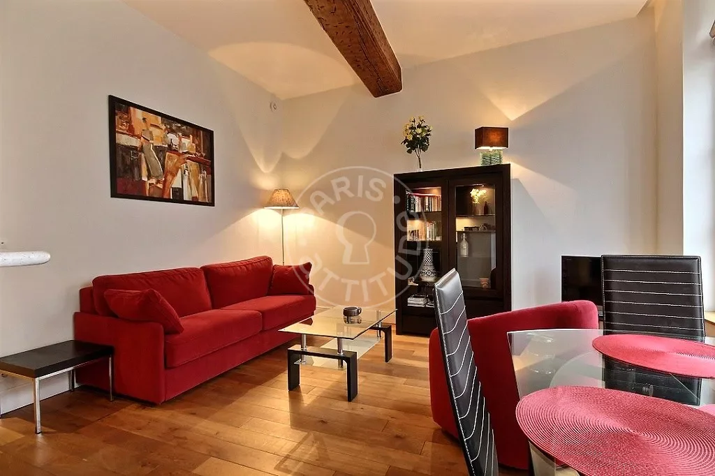 Flat Rue du Dragon in Paris