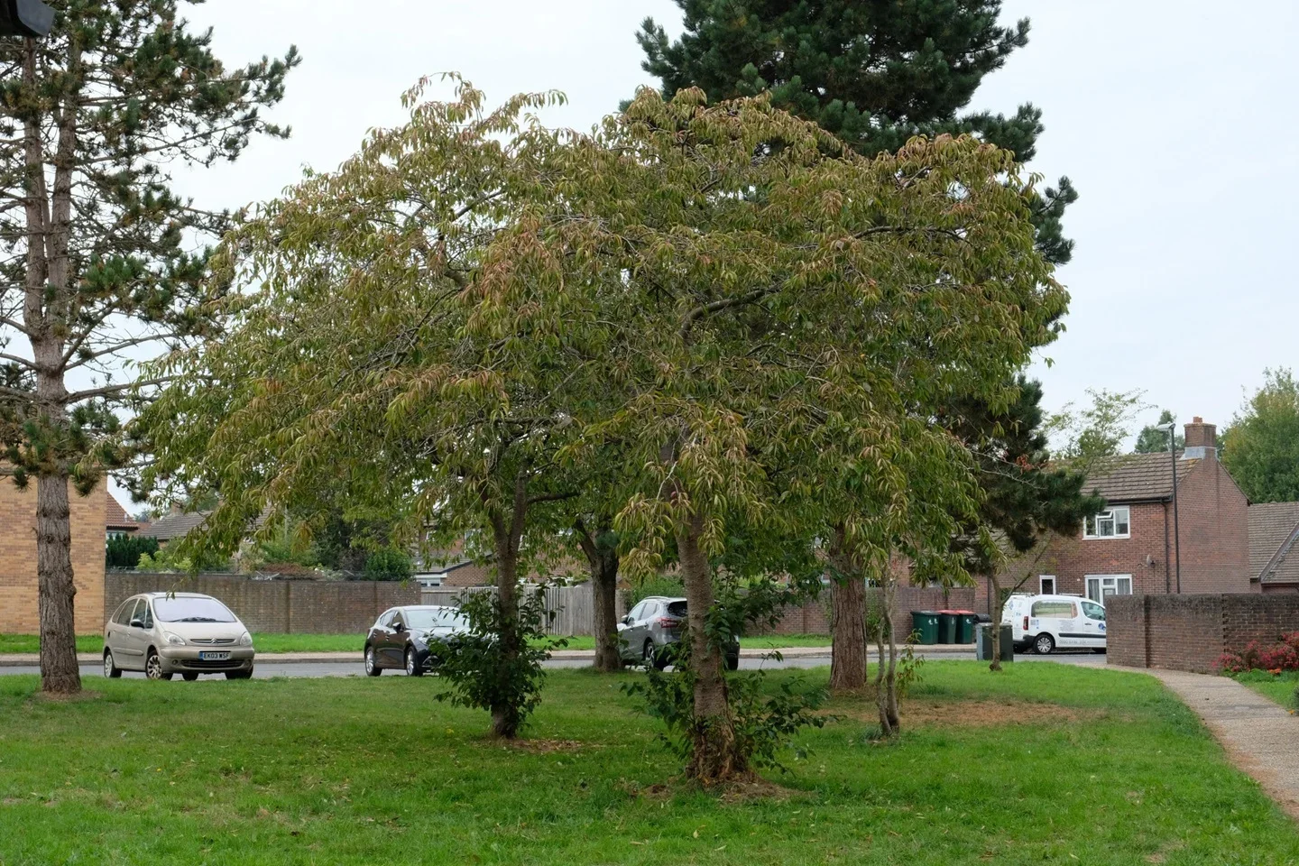 Flat Allcot Close in Crawley