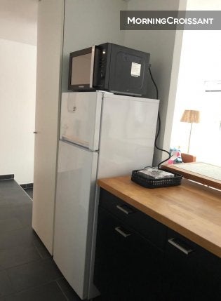Flat Rue Boileau in Lyon