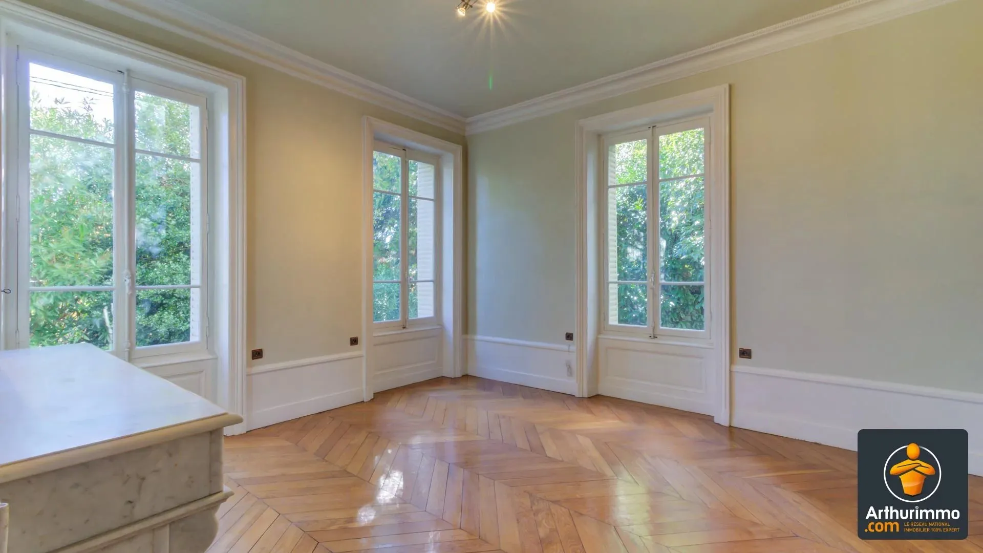 Maison Rue Audibert et Lavirotte à Lyon