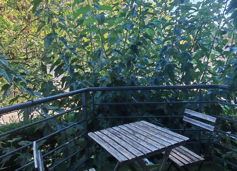 Appartement Boulevard Guynemer à Villeneuve-lès-Avignon