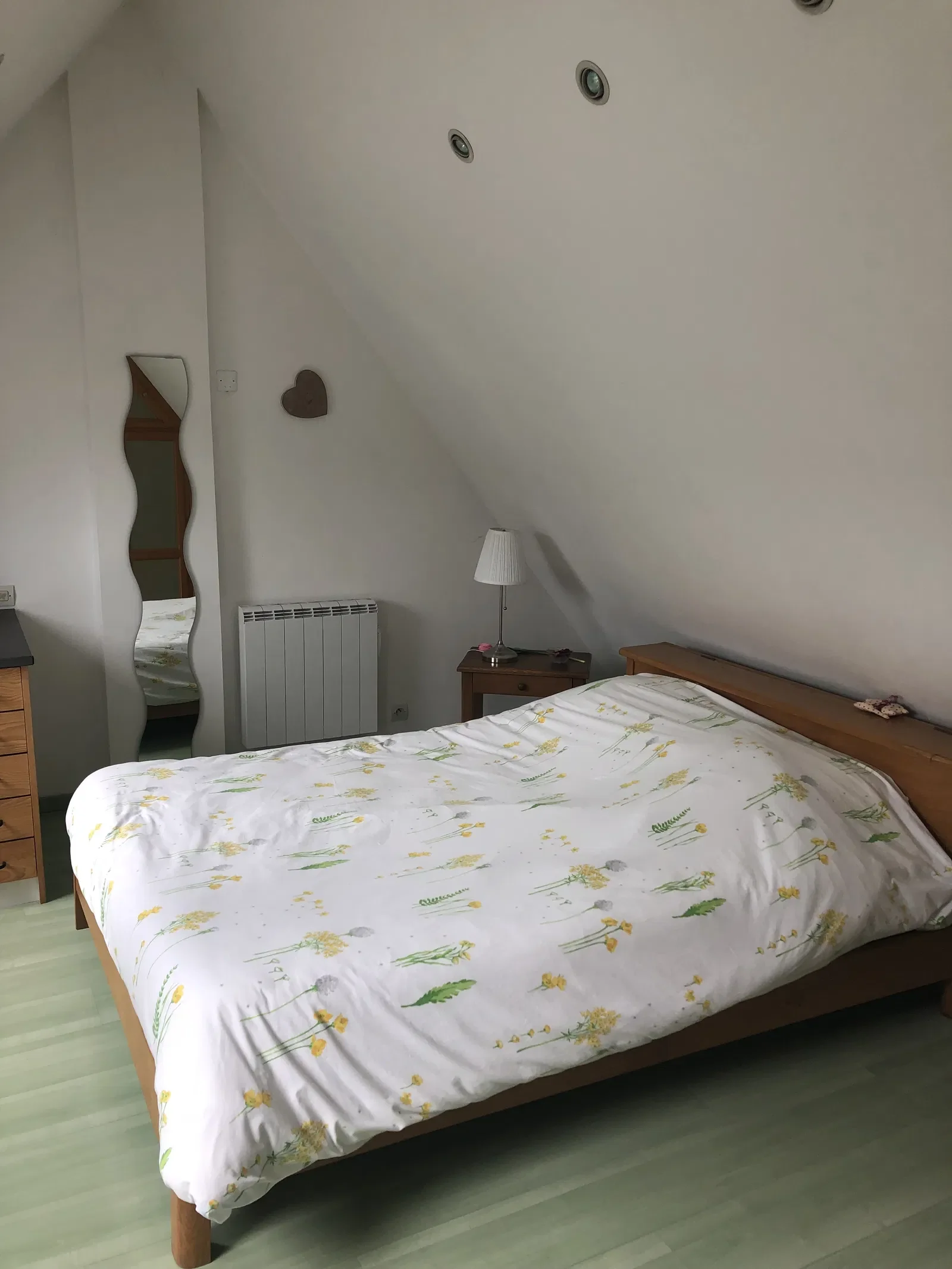 Room Place Albert 1er in Strasbourg