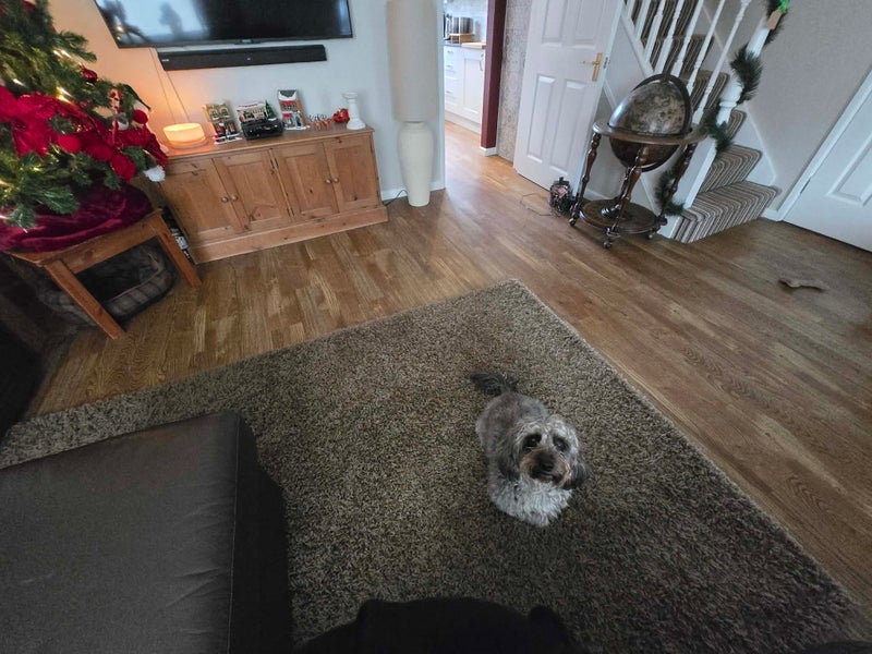 Room Milne Close in Crawley