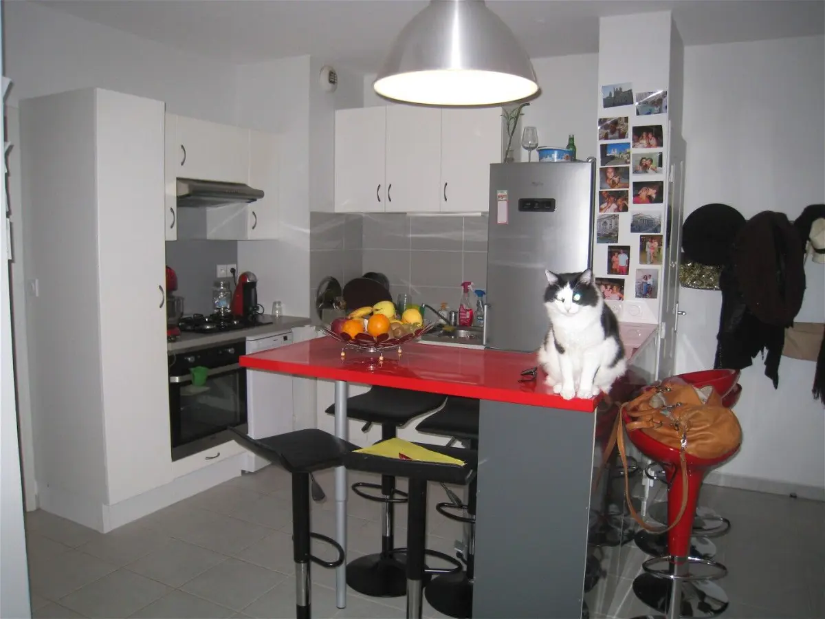 Flat Rue Louis Aulagne in Oullins-Pierre-Bénite
