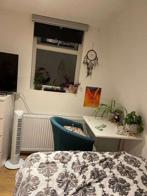 Room Alexandra Park Road in Greater London