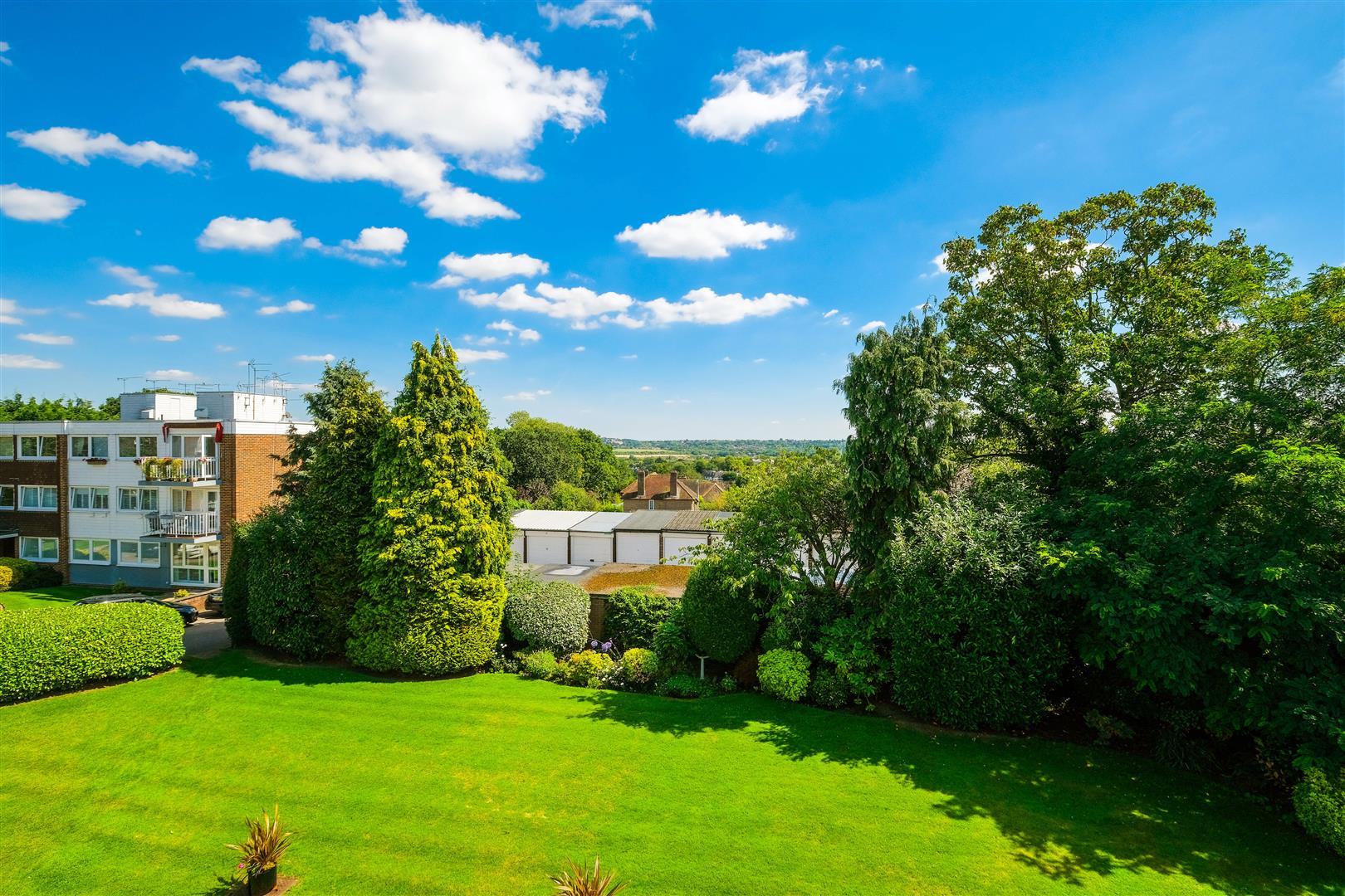 Flat Greenhill in Epping Forest