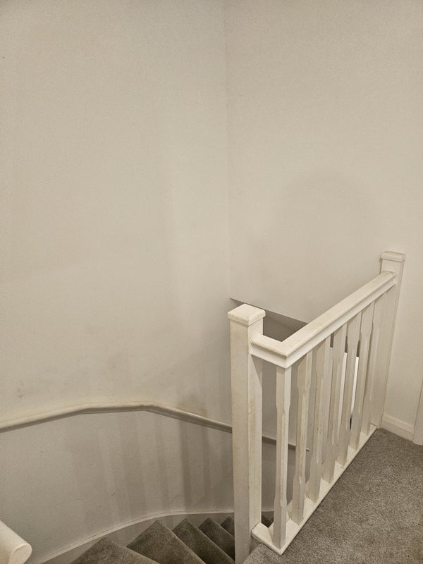 Room Sorrell Avenue in Braintree