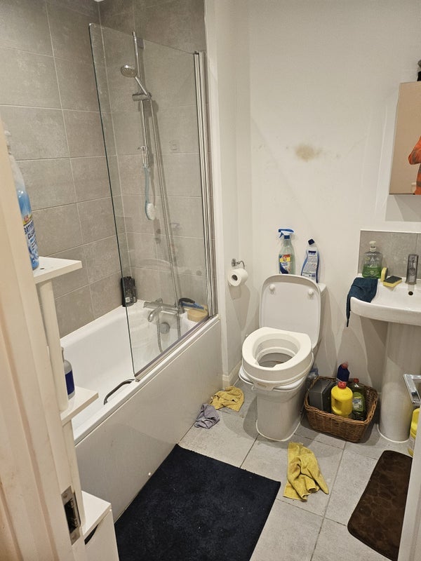 Room Sorrell Avenue in Braintree