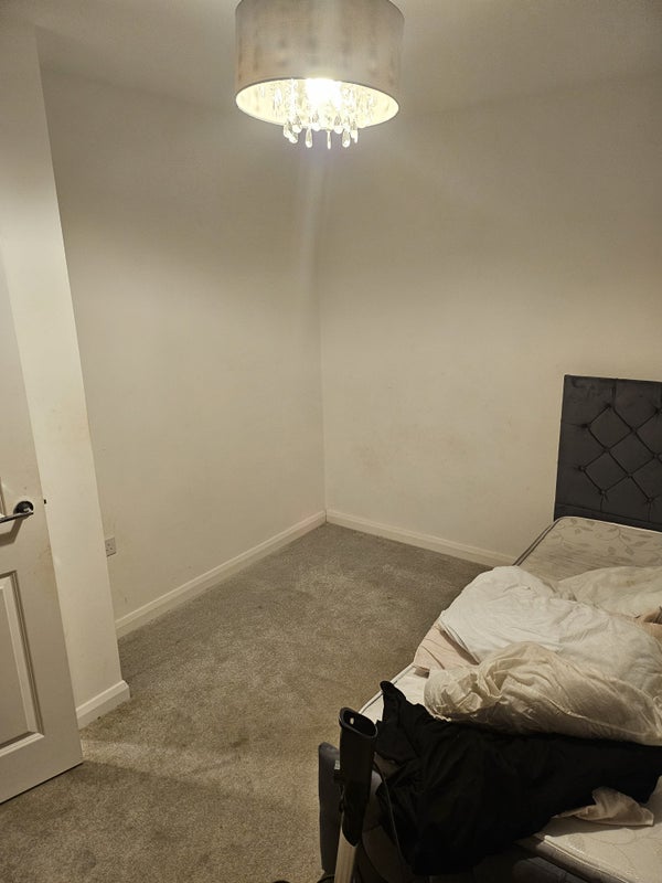 Room Sorrell Avenue in Braintree