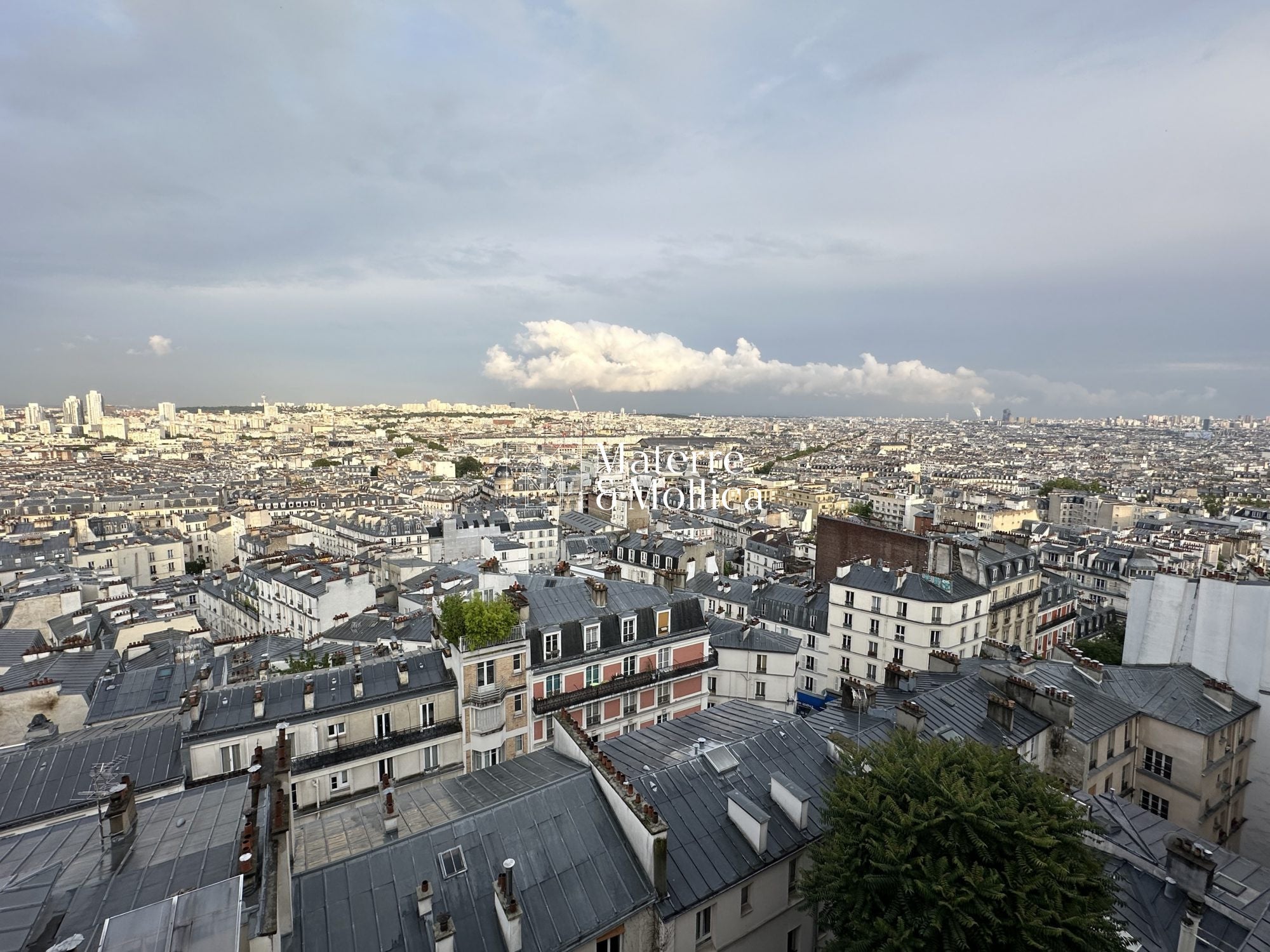 Flat Rue Cauchois in Paris