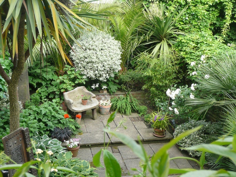 Room Colet Gardens in Greater London