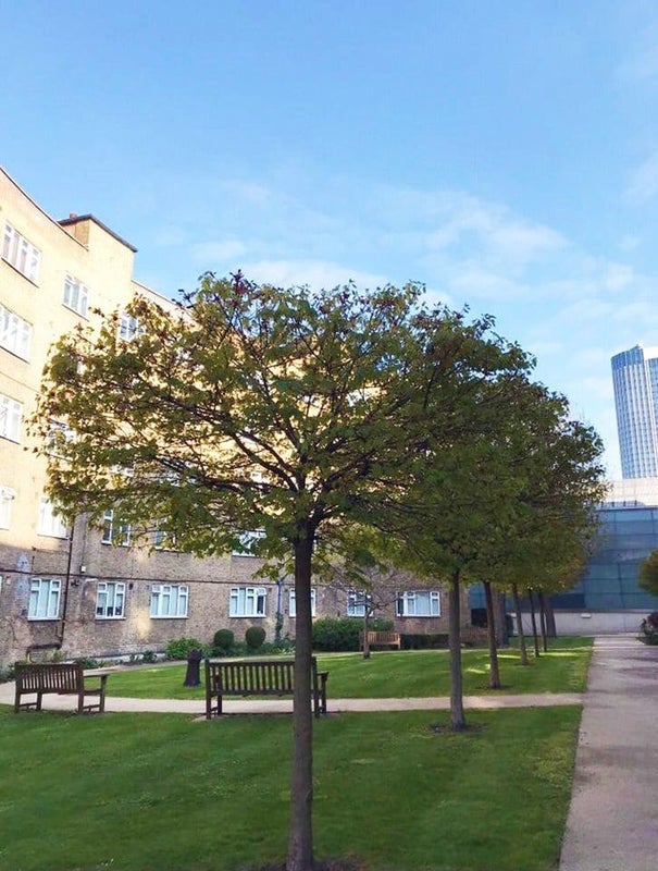 Flat Hatfields in Greater London