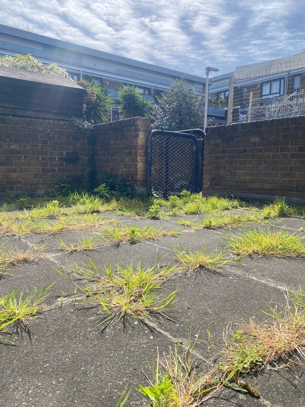 Room Aytoun Place in Greater London