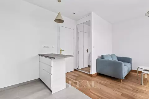 Flat Rue Duranton in Paris