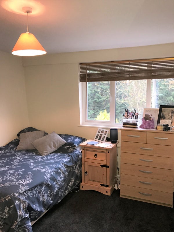 Room Perry Hill in Chelmsford