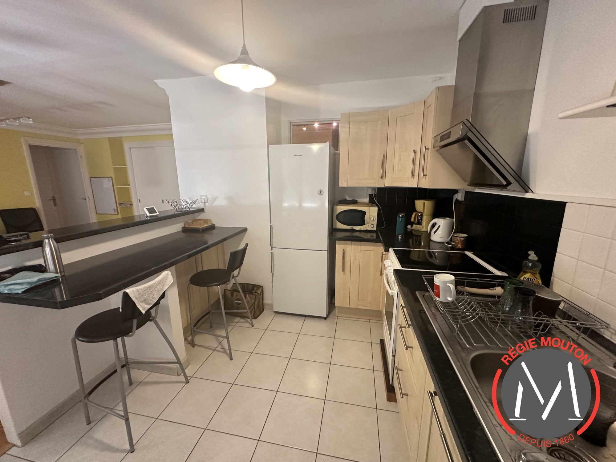 Appartement Avenue Lacassagne à Lyon