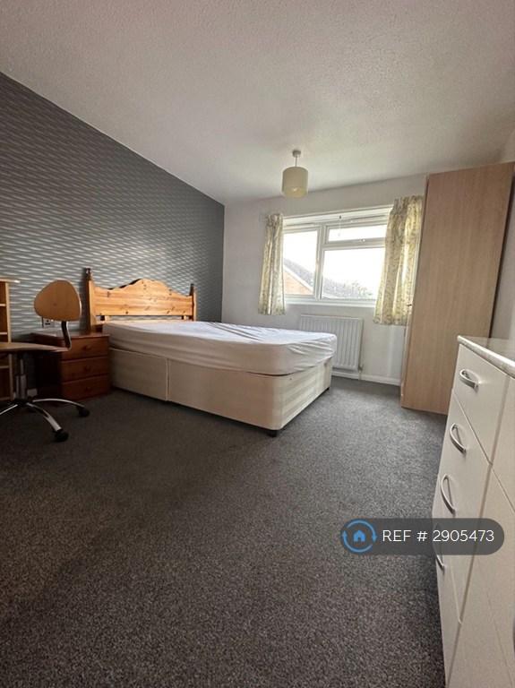 Room Wynford Road in Exeter