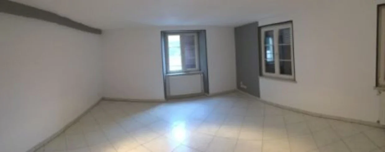 Flat Rue de Lepuix in Friesen
