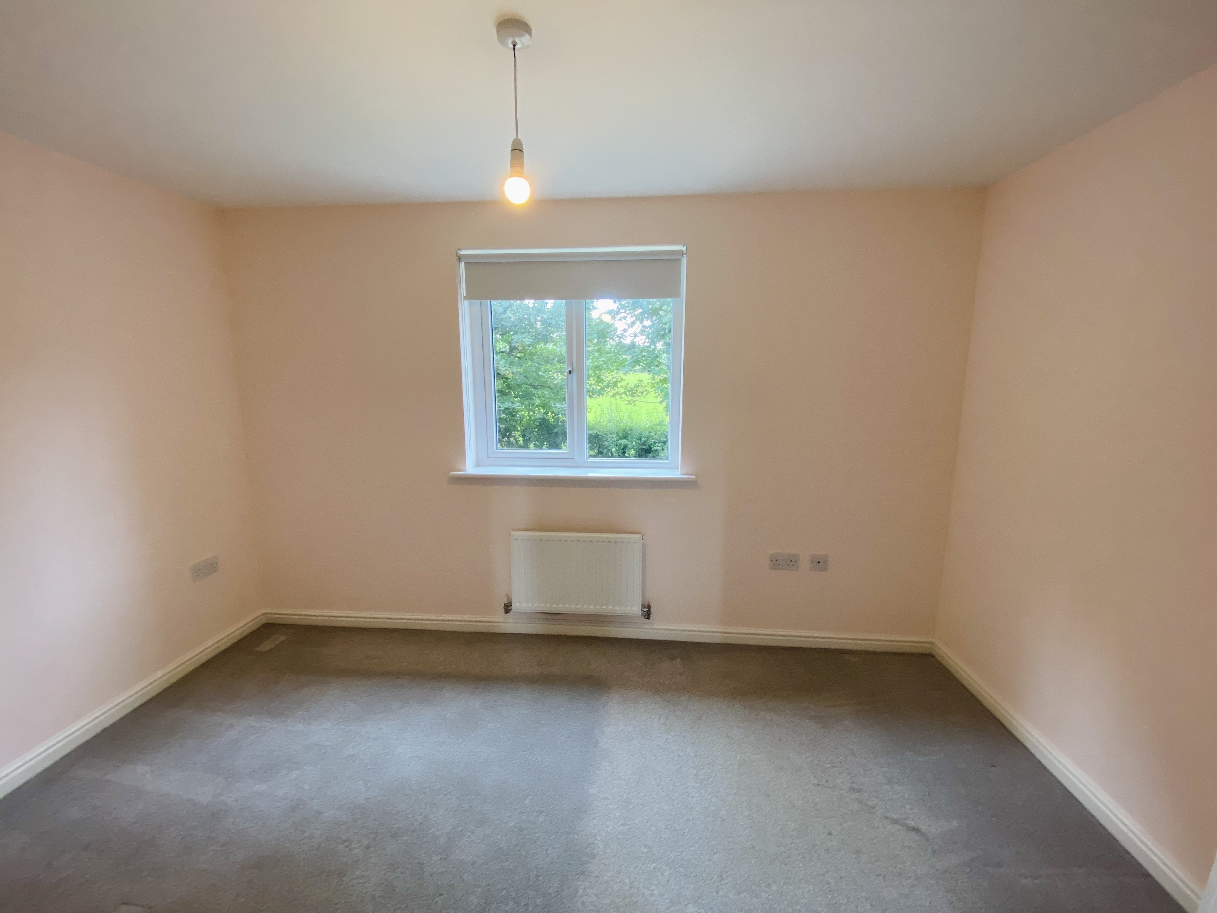 House Maes Pedr in Carmarthen
